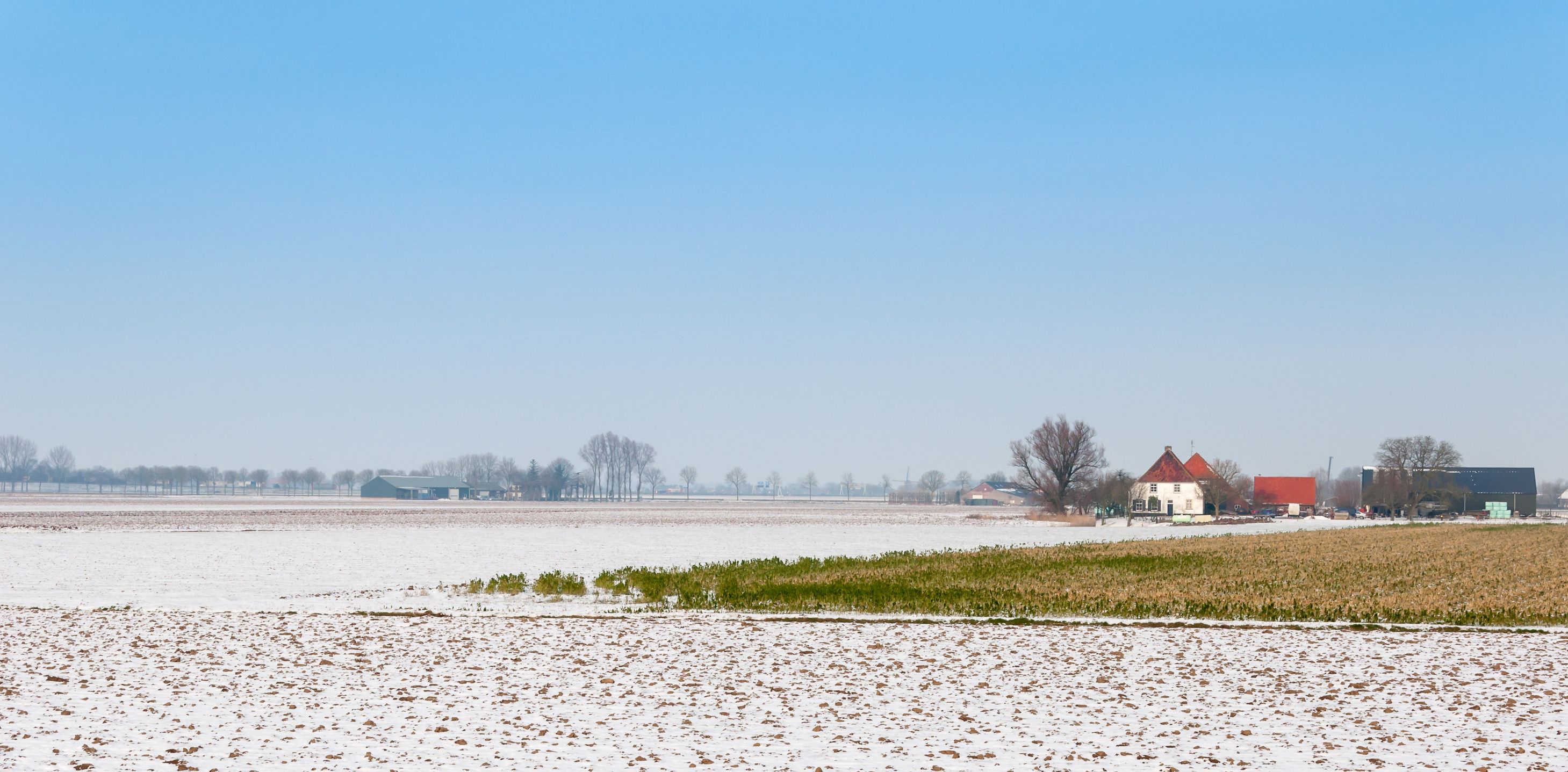 Dutch field in the snow. Copyright: rmorijn', 123RF Stock Photo