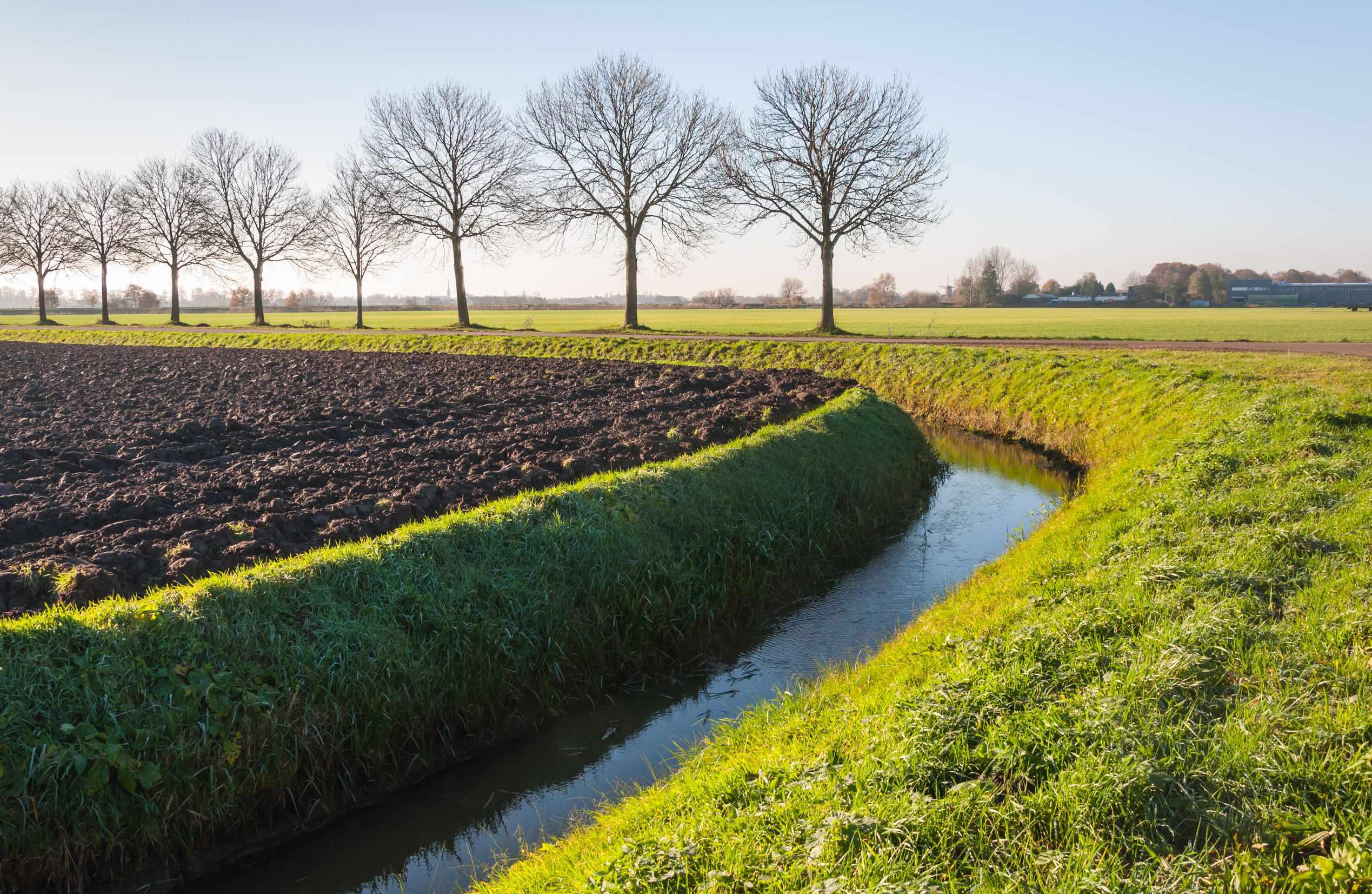 Typical tree-lined fields and canals in the Netherlands. Copyright: rmorijn with 123RF Stock Photo.