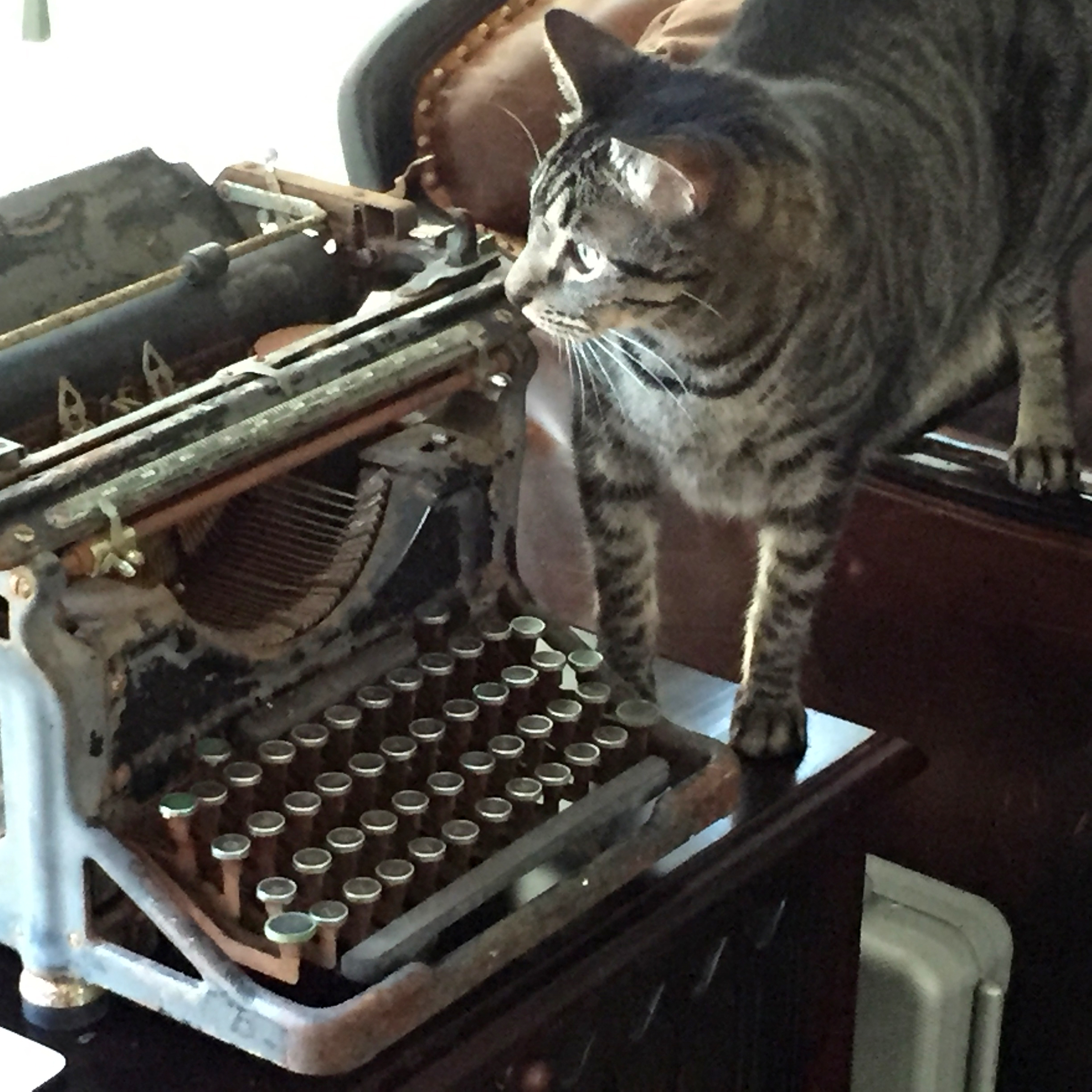 Lucca and the Underwood typewriter