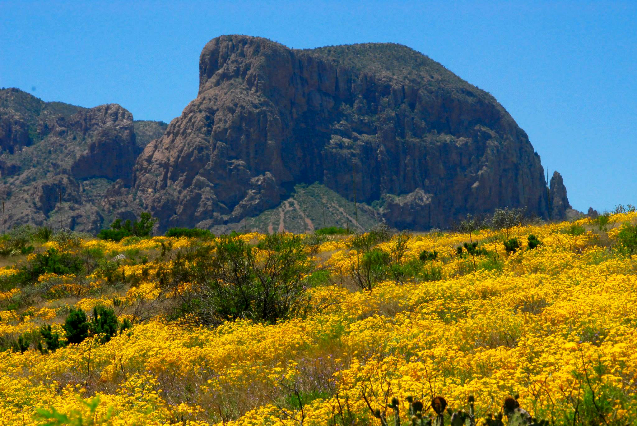 What is it about Big Bend?