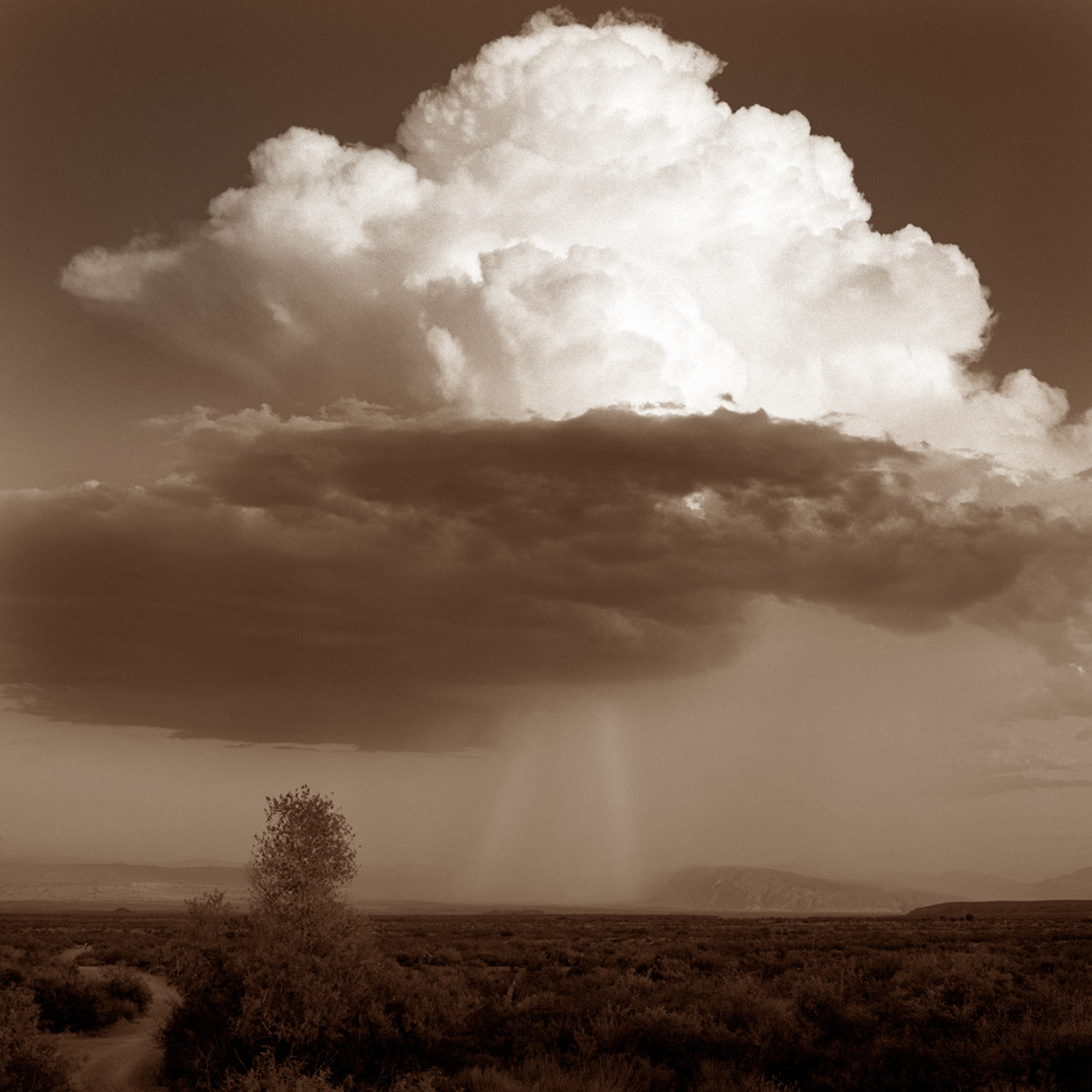 Storm from Dugout Wells by James Evans