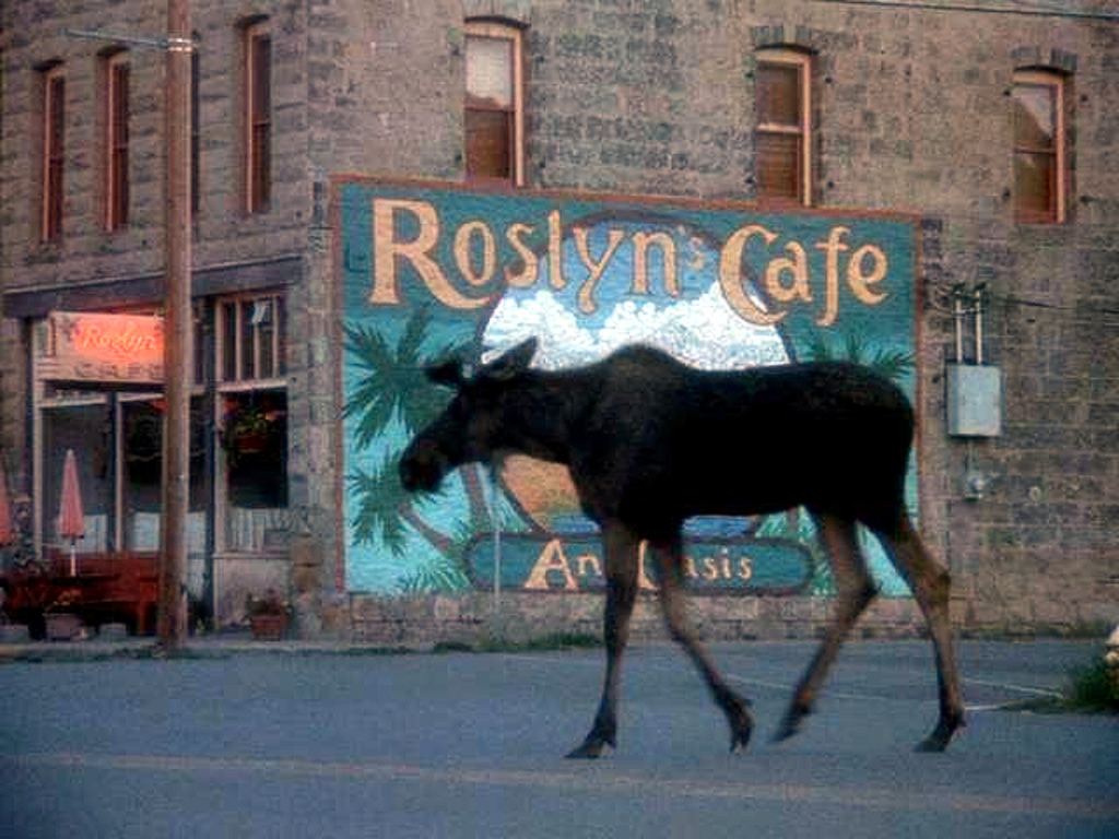 Northern Exposure, a quirky TV show about a Jewish doctor who gets stuck in a small Alaskan town.