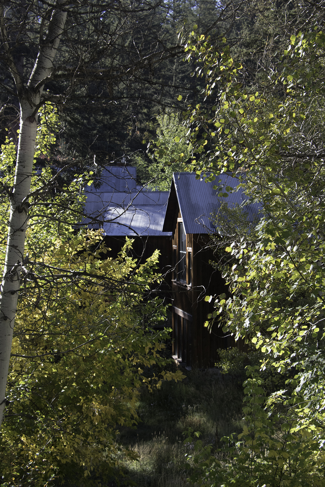 One of the cabins at the Sundance Mountain Resort. Photograph, Ann Fisher.