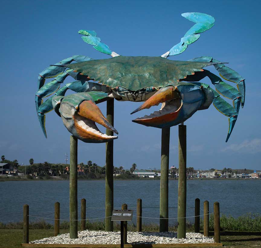 Big blue crab on the Rockport water front.