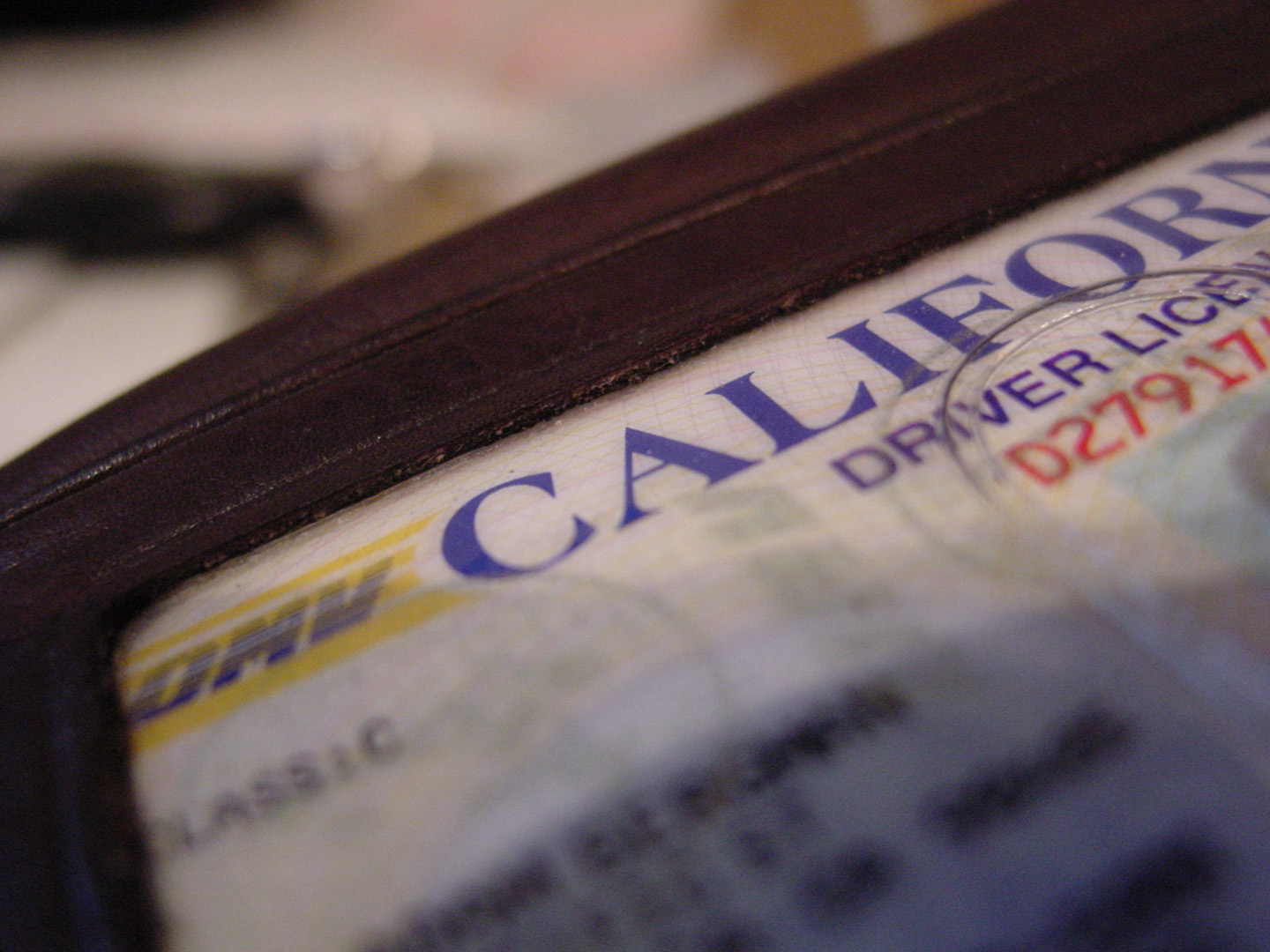 Can You Travel If Your ID is Lost?