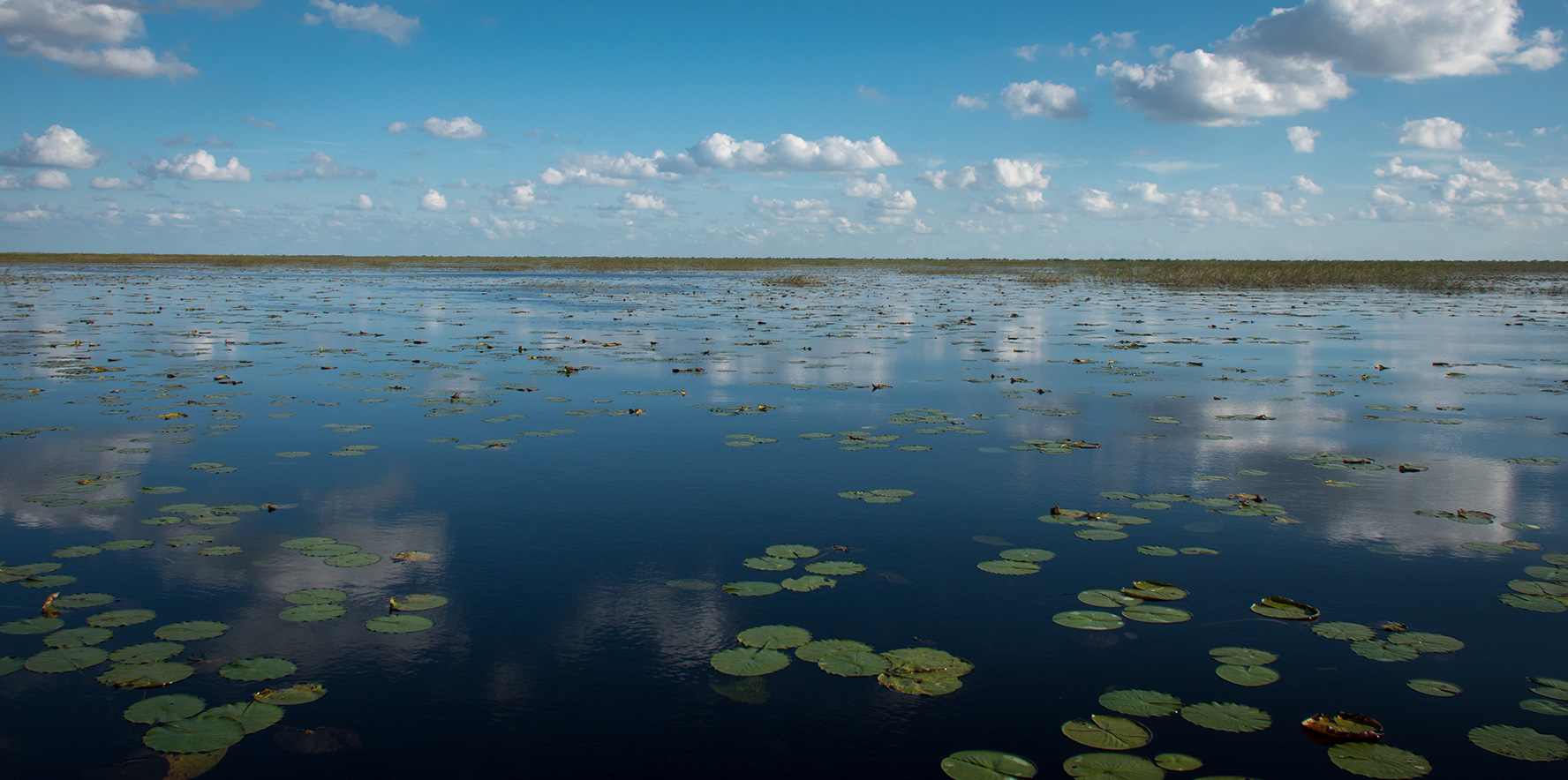 Airboat ride into the Everglades