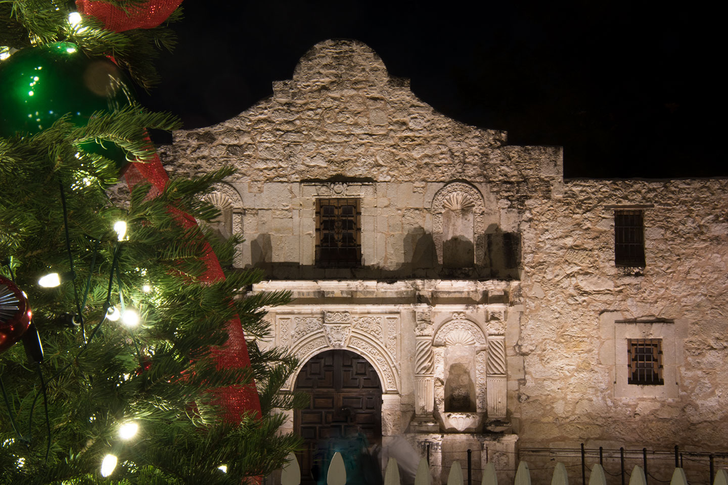Alamo and a Christmas Tree