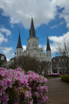 St. Louis Cathedral and George Tabor azaleas.