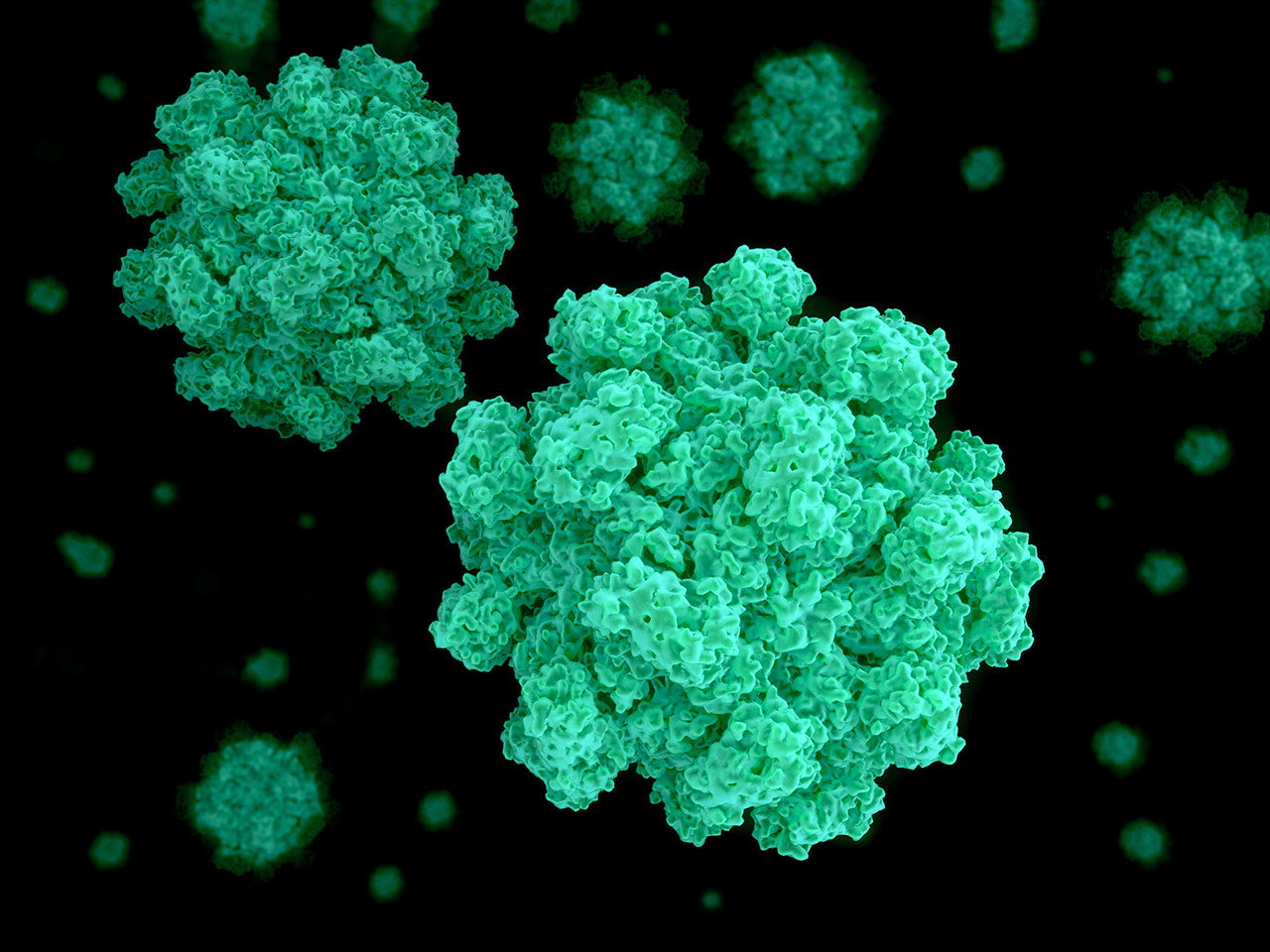 An up-close view of norovirus - also called cruise ship virus or stomach flu.