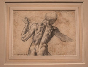 Michelangelo, Study of the Torso of a Male Nude Seen from the Back displayed in the exhibit Michelangelo Divine Draftsman and Designer exhibit at the Metropolitan Museum of Art in New York