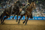Saddle bronc rodeo houston 2018