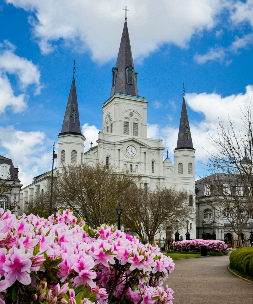 Spring in New Orleans! St. Louis Cathedral with some lovely George Tabor azaleas in Jackson Square. Photograph, Ann Fisher.
