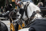 Carriage ride in Malaga