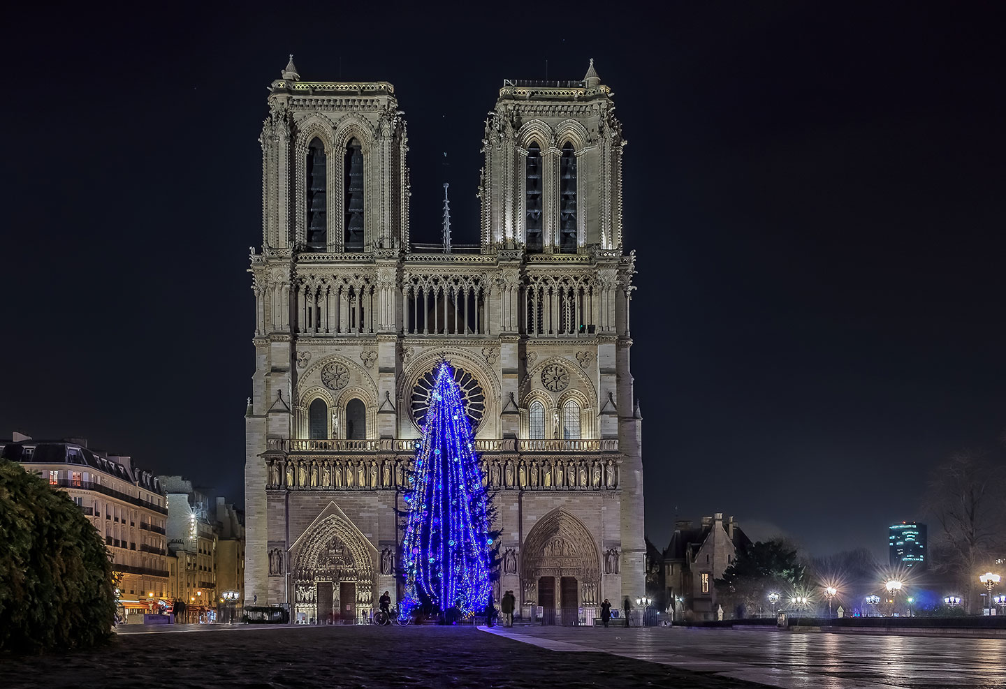 Christmas tree in front of Notre Dame in Paris.