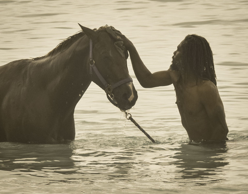 Garrison Savannah racehorses swimming on beach 3