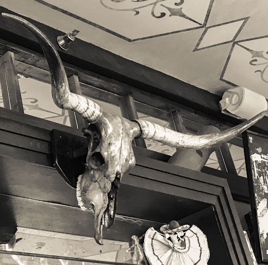 Long horn cow skull Century bar in the Holland Hotel Alpine Texas